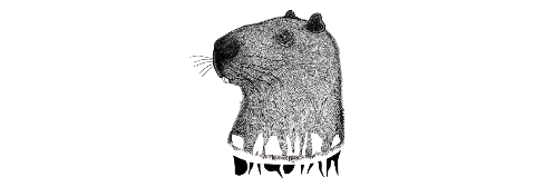Capivara